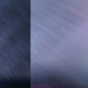 Meet your Posher, Larry